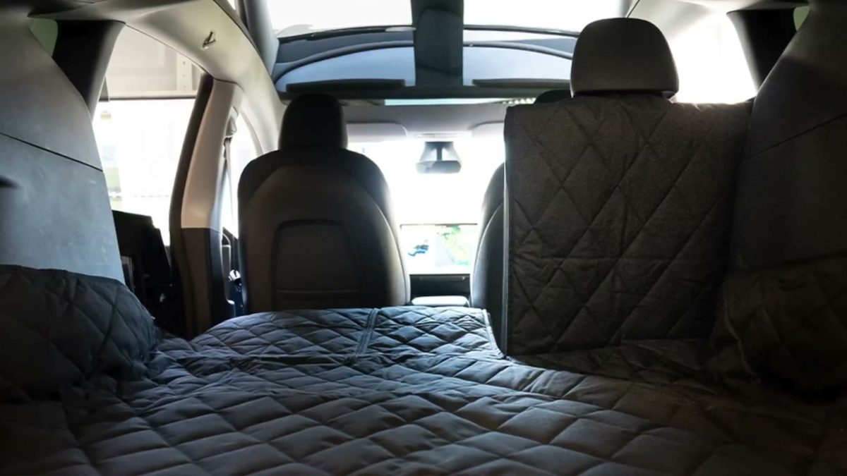Rear Seat Pet Liner in Ryan Shaw's Tesla