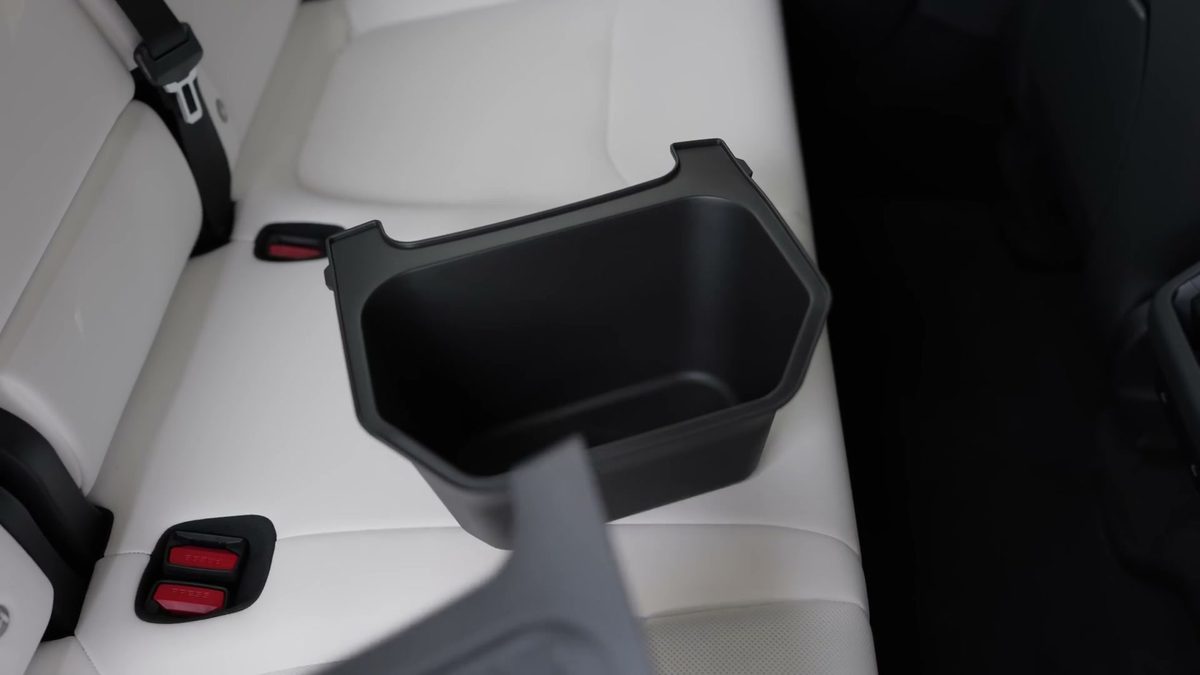 Rear Seat Organizer in Ryan Shaw's Tesla